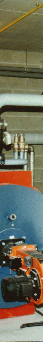 Image4.jpg (96037 octets)