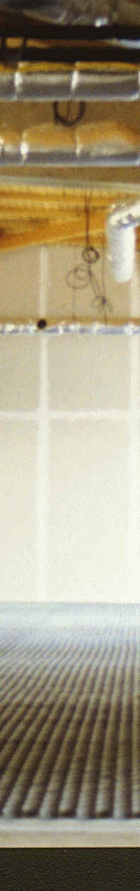 Image5.gif (107620 octets)