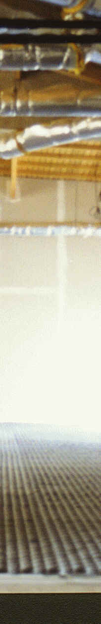 Image6.gif (102215 octets)