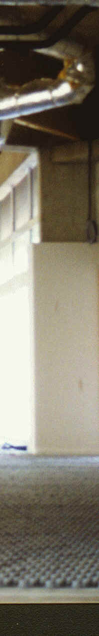 Image8.gif (107077 octets)